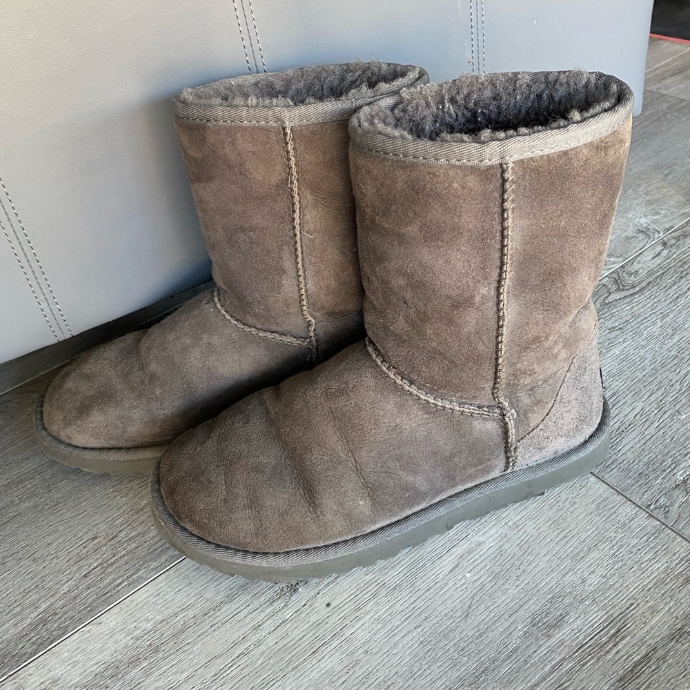 Classic short gray Uggs